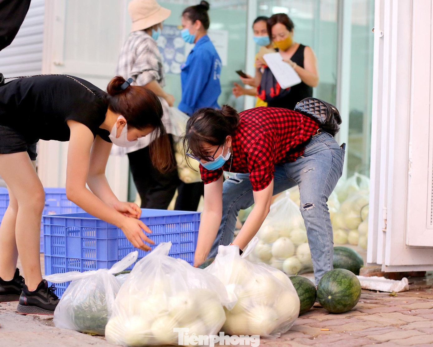 Mỗi ngày có 2 chuyến xe tải chở gần 15 tấn dưa hấu và dưa lê về tiêu thụ tại Hà Nội những ngày qua. Mỗi ngày có 2 chuyến xe tải chở gần 15 tấn dưa hấu và dưa lê về tiêu thụ tại Hà Nội những ngày qua.