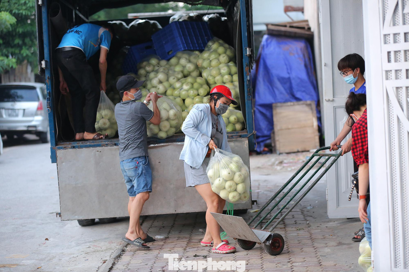 Các tình nguyện viên giúp nhóm vận chuyển dưa lê từ xe tải xuống điểm tập kết. Các tình nguyện viên giúp nhóm vận chuyển dưa lê từ xe tải xuống điểm tập kết.