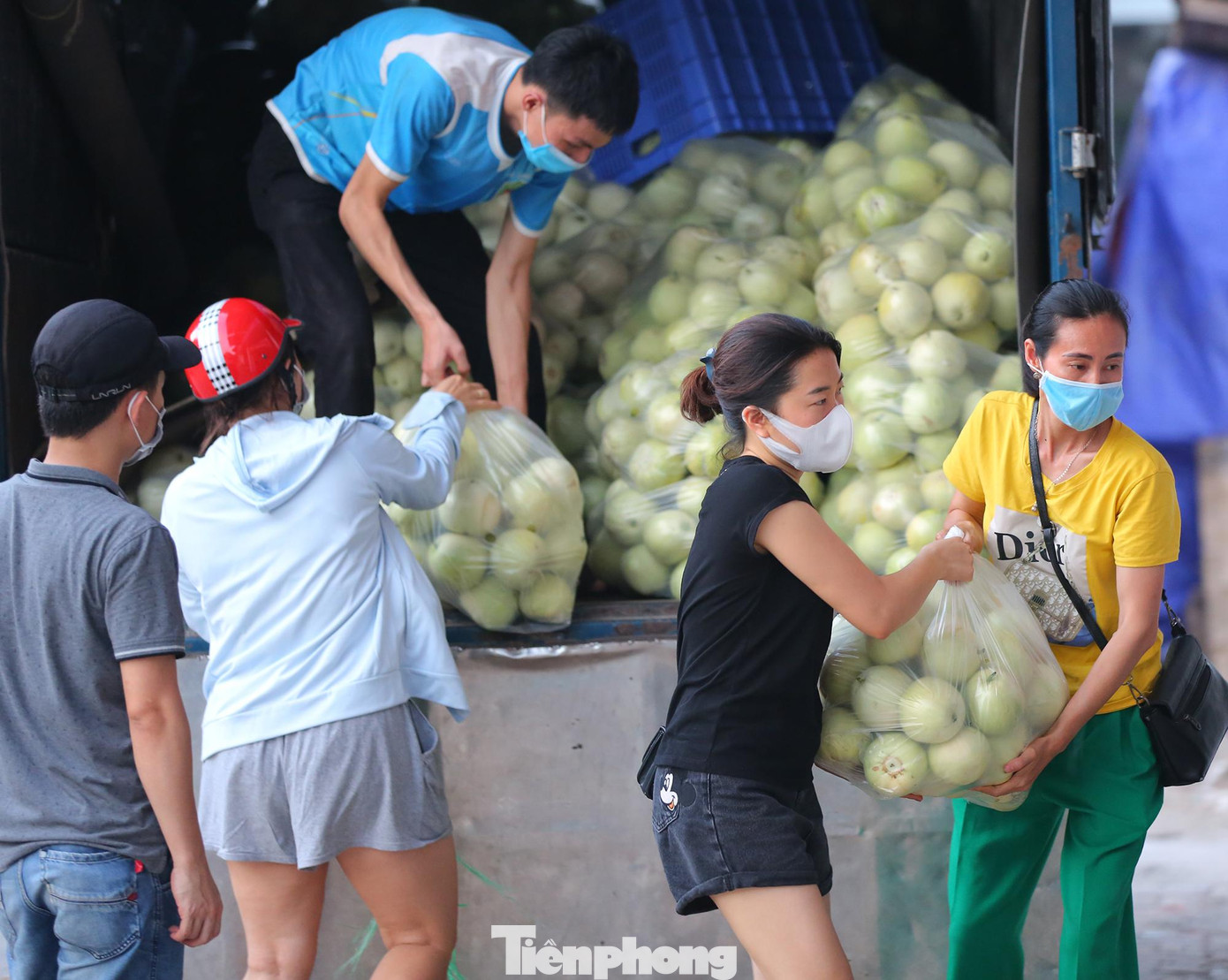 Hiện nay trên địa bàn huyện Yên Dũng còn khoảng gần 2.000 tấn dưa hấu, dưa lê đã đến kỳ thu hoạch và chỉ có thể để được trên đồng ruộng chờ thu hoạch, tiêu thụ trong khoảng 15 ngày. Hiện nay trên địa bàn huyện Yên Dũng còn khoảng gần 2.000 tấn dưa hấu, dưa lê đã đến kỳ thu hoạch và chỉ có thể để được trên đồng ruộng chờ thu hoạch, tiêu thụ trong khoảng 15 ngày.