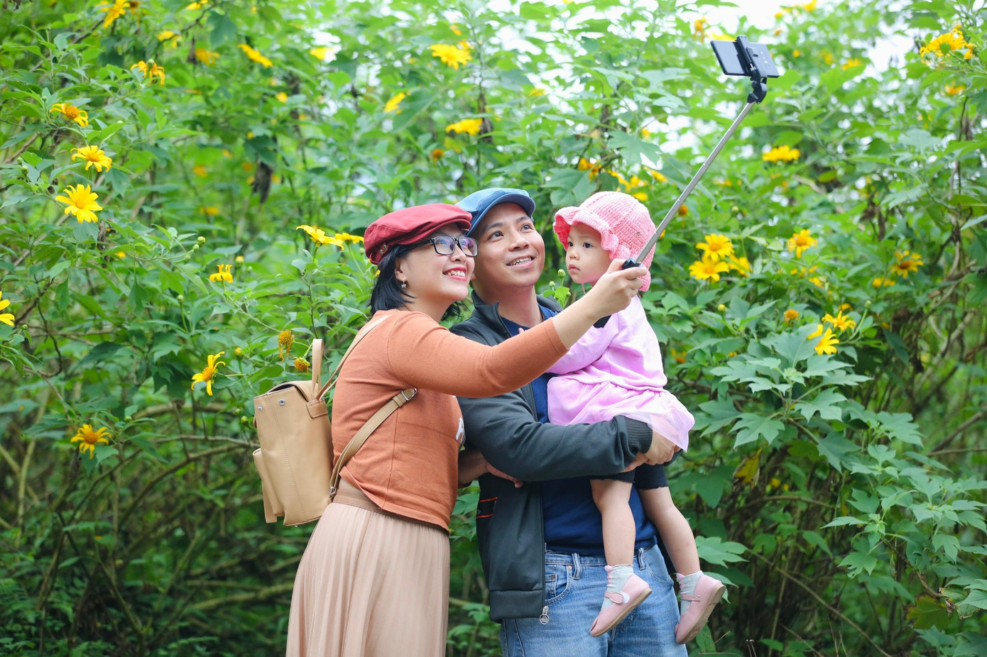 Không bạt ngàn như ở Đà Lạt nhưng dã quỳ ở đây vẫn có vẻ đẹp riêng, nhất là khi được ngắm hoa trong không gian mờ ảo của mây núi Ba Vì