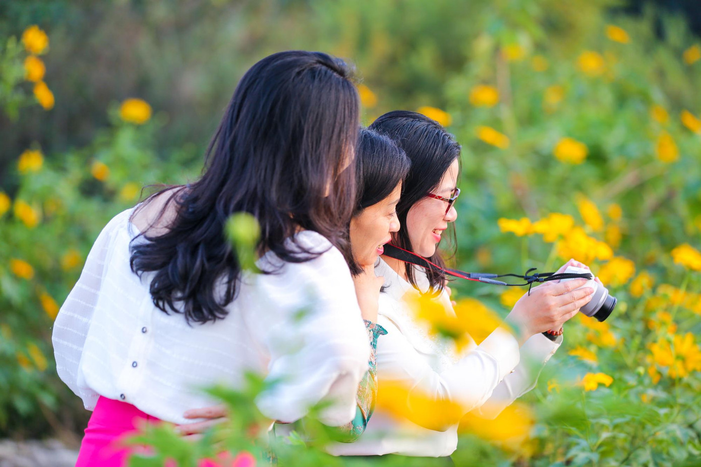 Thích thú ngắm nhìn thành quả sáng tác với vườn dã quỳ rực rỡ sắc vàng đầu đông.