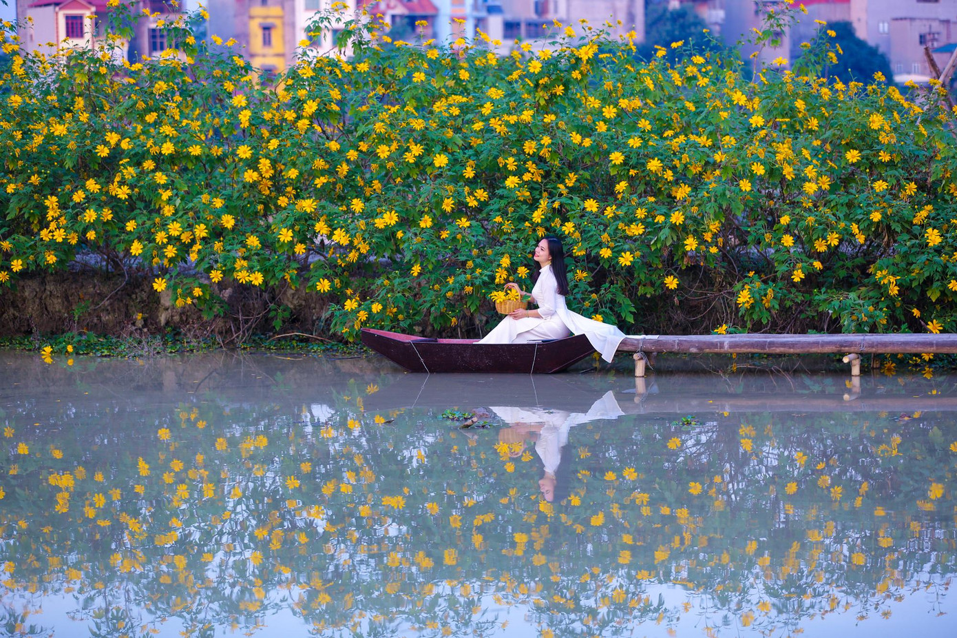 Điểm độc đáo khác lạ của khu vườn dã quỳ này so với điểm Ba Vì là con thuyền đạo cụ cho các bạn trẻ tha hồ tạo dáng.