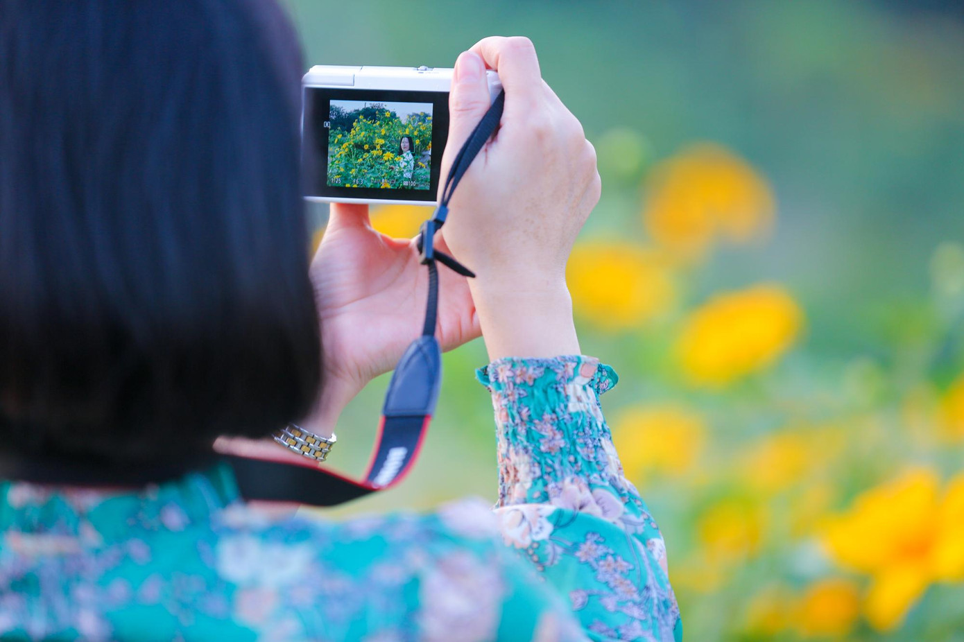 Những ngày nắng đẹp vàng ươm như thế này là thời điểm vườn dã quỳ thu hút nhiều người đến ngắm và chụp ảnh check-in.