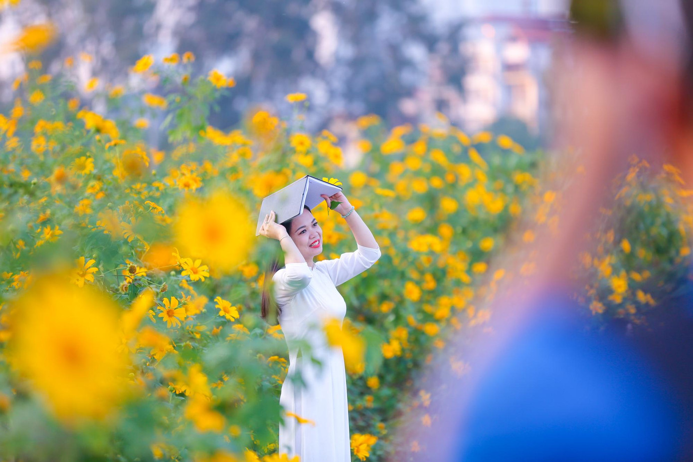 Vườn hoa dã quỳ độc đáo này được anh Dương Văn Đạt, sinh năm 1988 cất công gieo trồng để du khách có thể đến chụp ảnh ngay giữa Hà Nội.