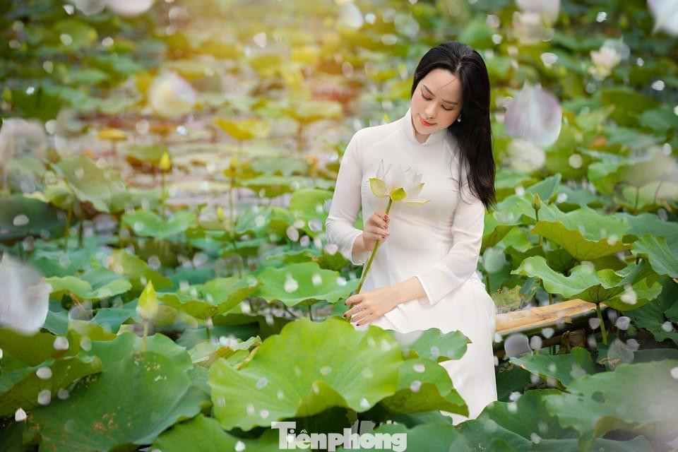 Mới đầu vụ sen trắng nhưng các bạn trẻ đã kéo nhau đến chụp hình và check-in sớm.