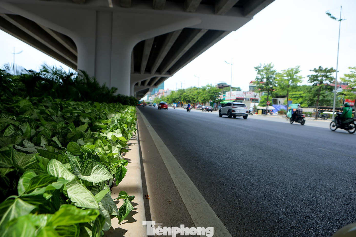 Bóng mát từ cây cầu và hàng cây xanh hai bên đường giúp người dân di chuyển đỡ oi bức hơn trong ngày hè nắng gắt này.