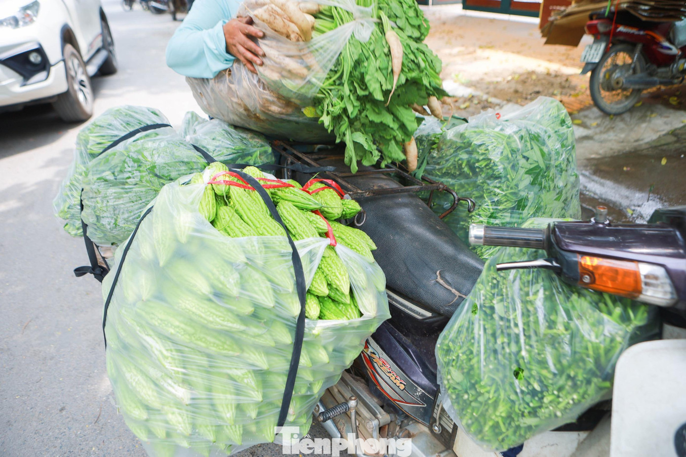 Những chuyến xe nghĩa tình chở theo thực phẩm, rau củ của các nhà hảo tâm được các thành viên nhóm tiến hành phân loại khẩn trương để chuẩn bị cho nhà bếp chế biến.