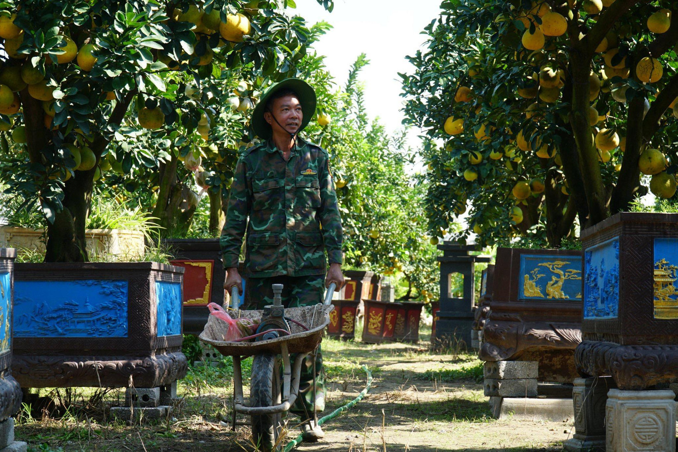 "Năm nay mẫu mã đẹp, cộng với thời gian chơi cây được lâu nên tôi kỳ vọng sẽ cháy hàng sớm", một chủ nhà vườn cho biết.