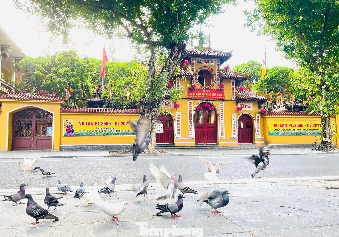 Không khí tĩnh lặng, vắng vẻ yên bình tại chùa Quán Sứ sáng sớm ngày Rằm tháng 7. Đây là hình chưa từng ở ngôi chùa này vào dịp Rằm tháng 7 những năm trước. Không khí tĩnh lặng, vắng vẻ yên bình tại chùa Quán Sứ sáng sớm ngày Rằm tháng 7. Đây là hình chưa từng ở ngôi chùa này vào dịp Rằm tháng 7 những năm trước.