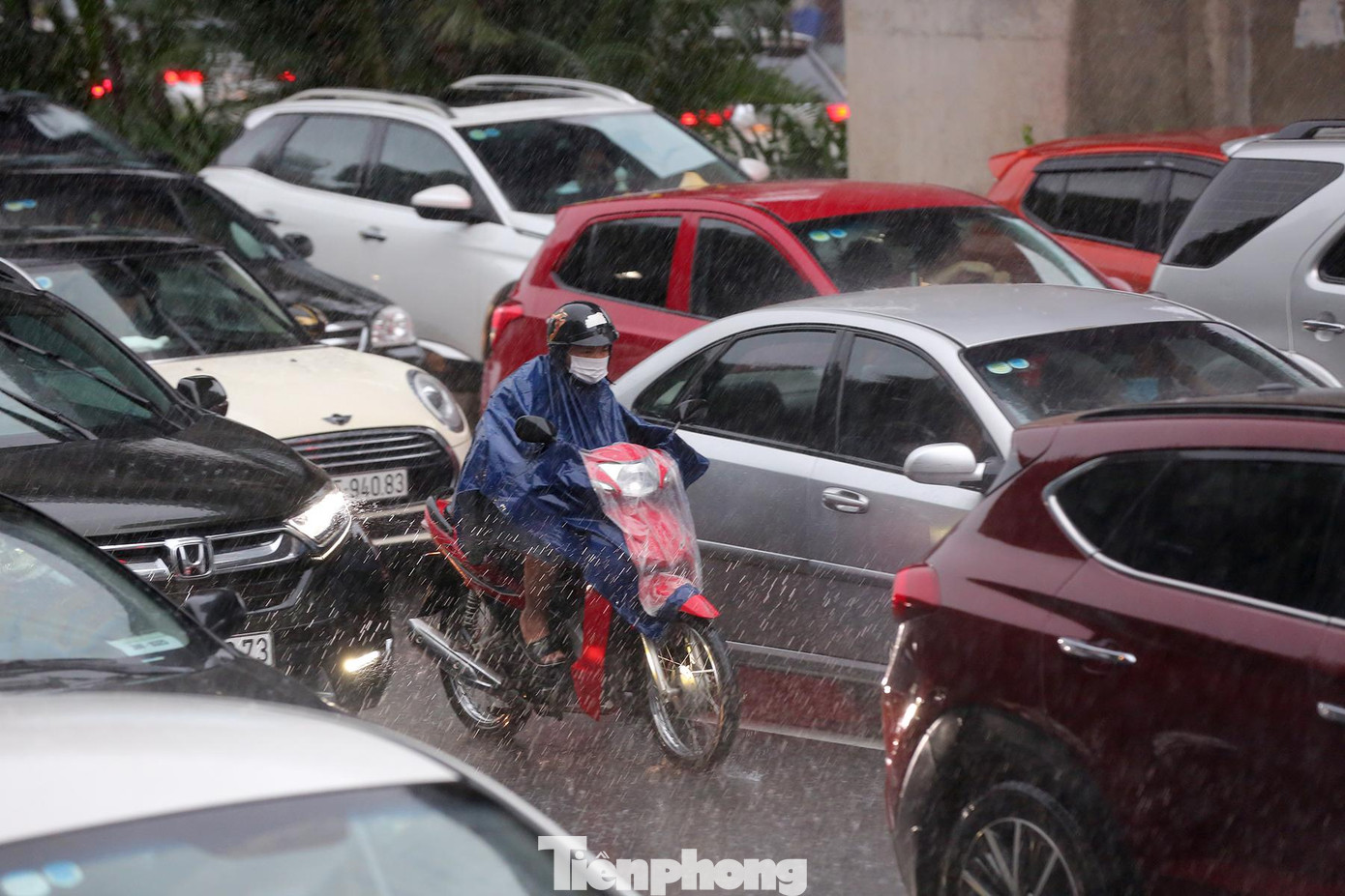 Xe máy len lỏi giữa hàng ô tô dài.