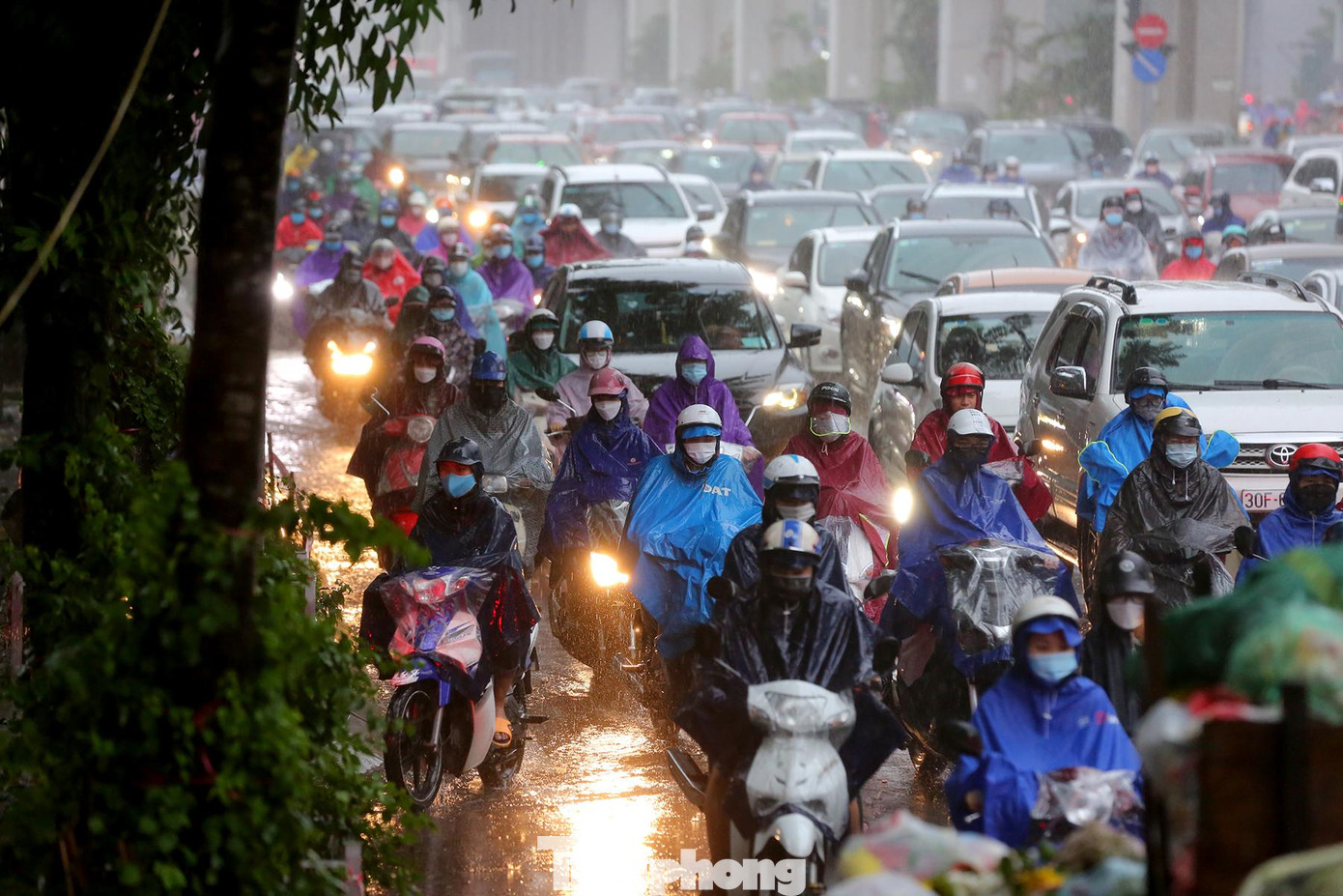 Trên đường Nguyễn Trãi (Thanh Xuân, Hà Nội), dòng phương tiện nhích từng cm, chấp nhận chôn chân dưới mưa.