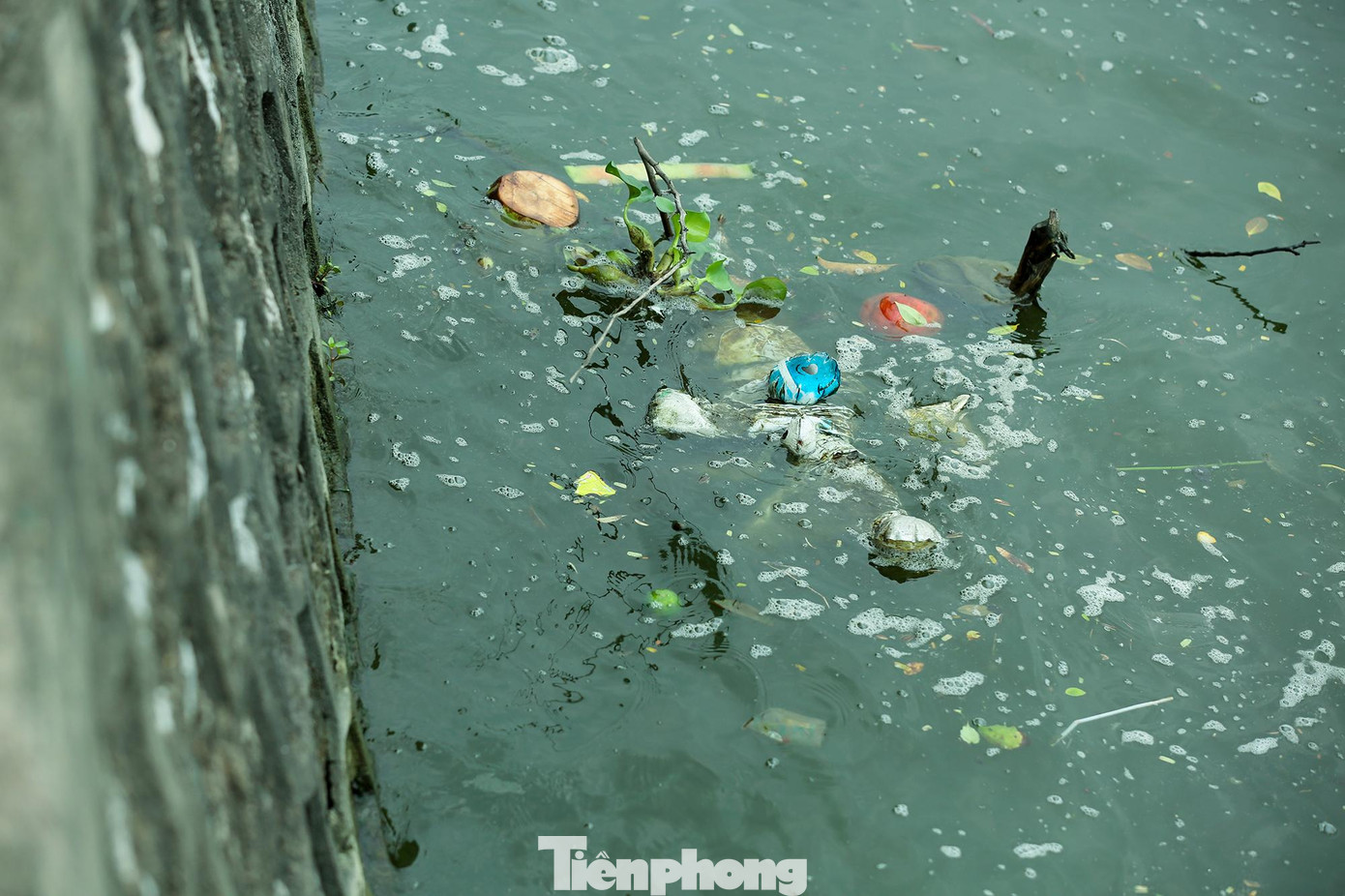 Đại diện Tổng cục Môi trường cho biết, đoàn đã tổ chức kiểm tra, xác minh việc nước hồ Tây chuyển màu xanh rêu đậm trong thời gian qua.