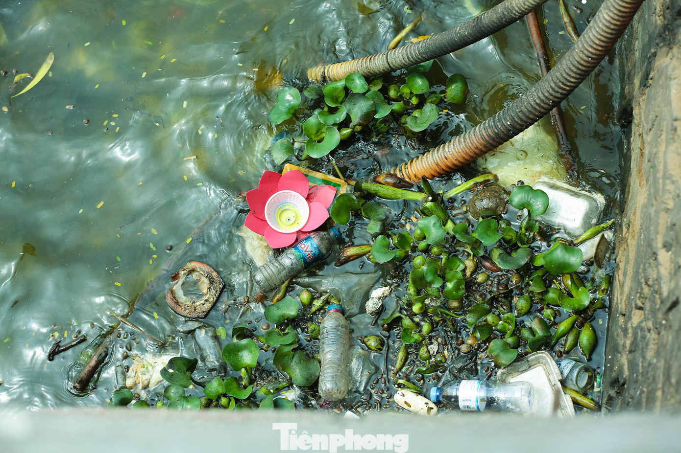 Rác thải trôi dạt trên mặt hồ.