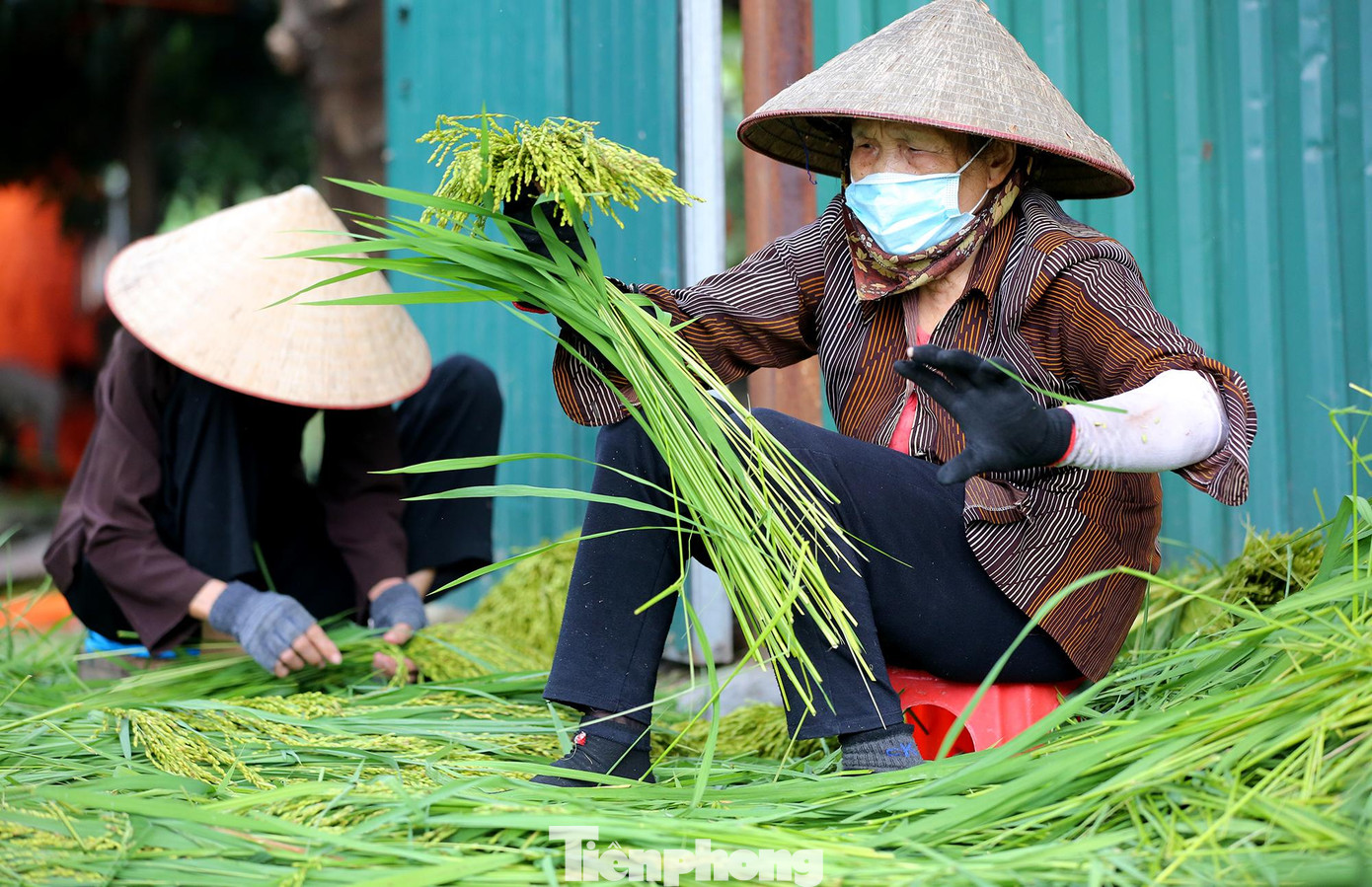 Nghề làm cốm ở làng Mễ Trì, Hà Nội đến nay có bề dày lịch sử hơn một thế kỷ. Trong làng có 2 thôn (thôn Thượng và thôn Hạ) đều có nhiều hộ gia đình theo nghề làm cốm truyền thống.