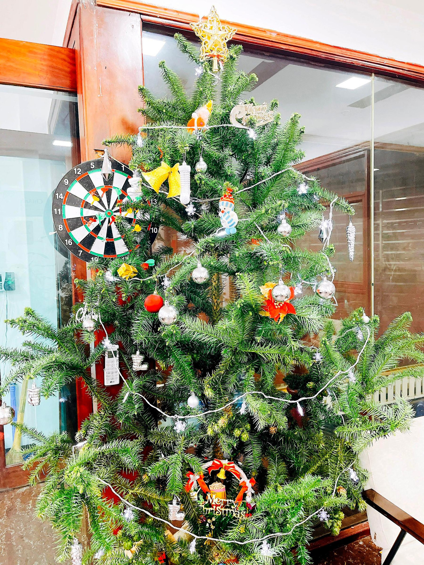 Một phần là bởi giá thông tươi khá ổn định, không biến động nhiều. Hơn nữa, nếu cây được đặt để trong môi trường ổn định trong nhà, công sở, chăm sóc tốt thì có thể chơi được cả tháng mà vẫn đẹp.