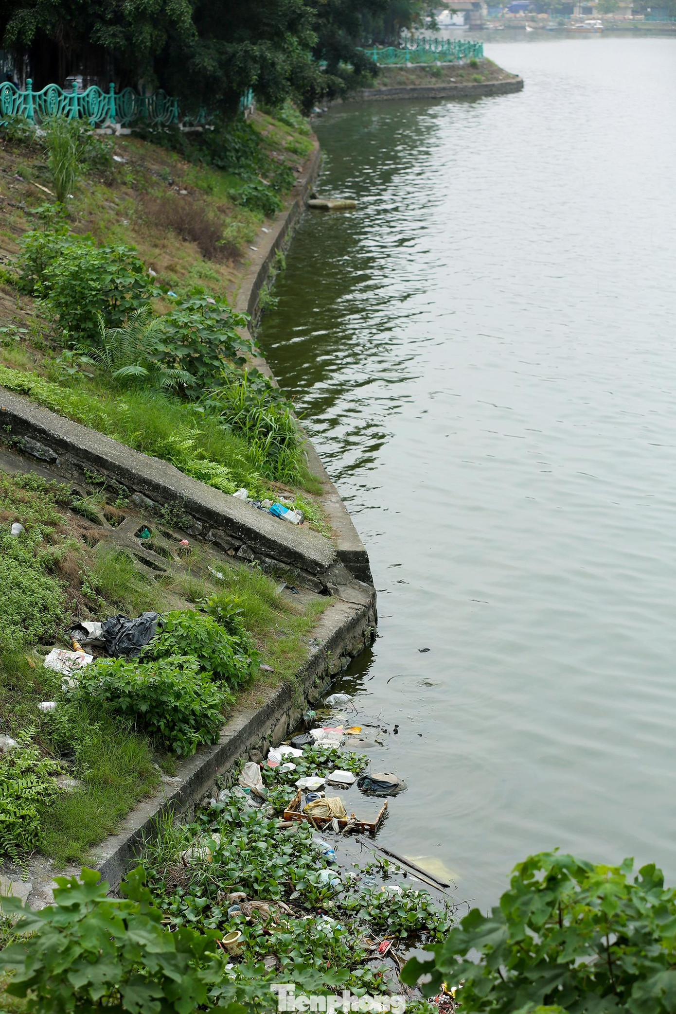 Kết quả cho thấy, nhiều thông số môi trường trong nước hồ vượt quy chuẩn kỹ thuật quốc gia về chất lượng nước mặt QCVN 08-MT:2015/BTNMT, sinh khối và mật độ tế bào thực vật cao (tập trung chủ yếu là các chi dạng tập đoàn vi khuẩn lam Microcystis, Alphanocapsa, Merismopedia và các tập đoàn tảo lục Scenedesmus, Crucigena,…).