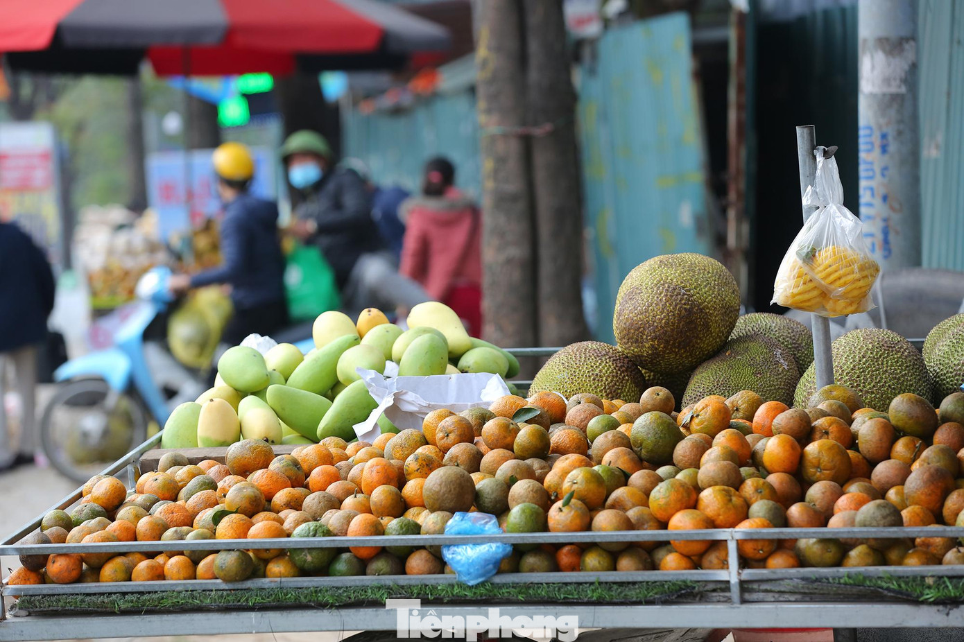 Khảo sát nhanh tại địa điểm bán ở đường gom Đại lộ Thăng Long, giá mít là 10.000/kg và với thanh long ruột đỏ cũng là 10.000/kg.