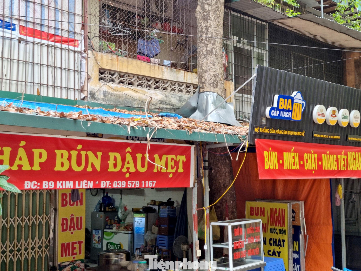 Các hàng quán kinh doanh thì tận dụng cây thành chỗ kinh doanh lý tưởng.