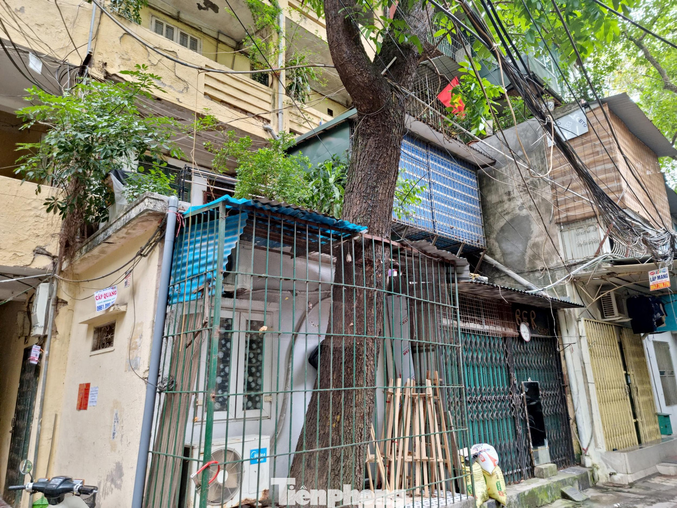 Không ít nhà đã rào chắn xung quanh cây, biến những cây cổ thụ thành một "thành viên" quen thuộc trong gia đình.