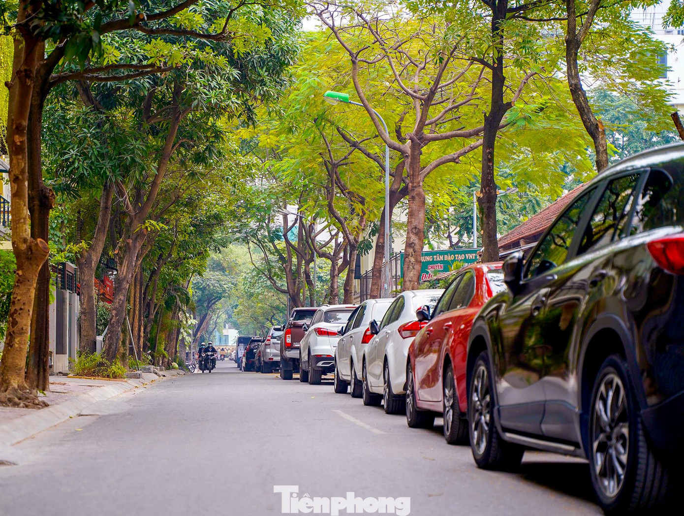 Phố dài 470m, rộng 10m (trong đó lòng đường rộng 6m, vỉa hè mỗi bên rộng 2m).