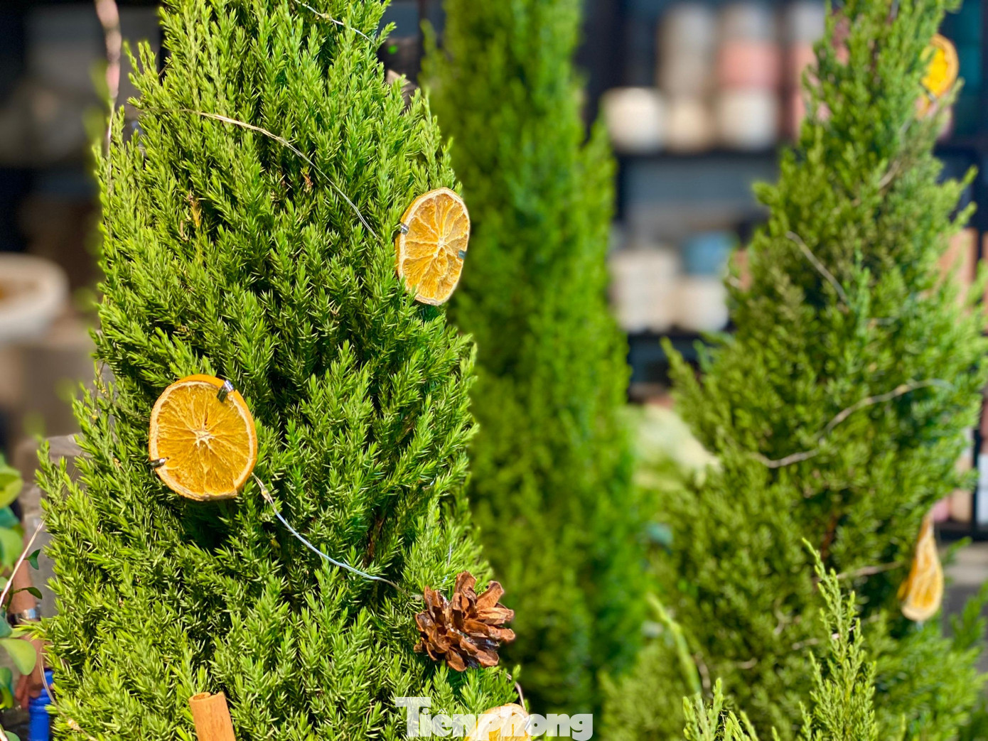 Không những thế, các cửa hàng còn chuẩn bị những mẫu thiết kế trang trí sẵn với đủ các kích thước, combo... để khách hàng lựa chọn.