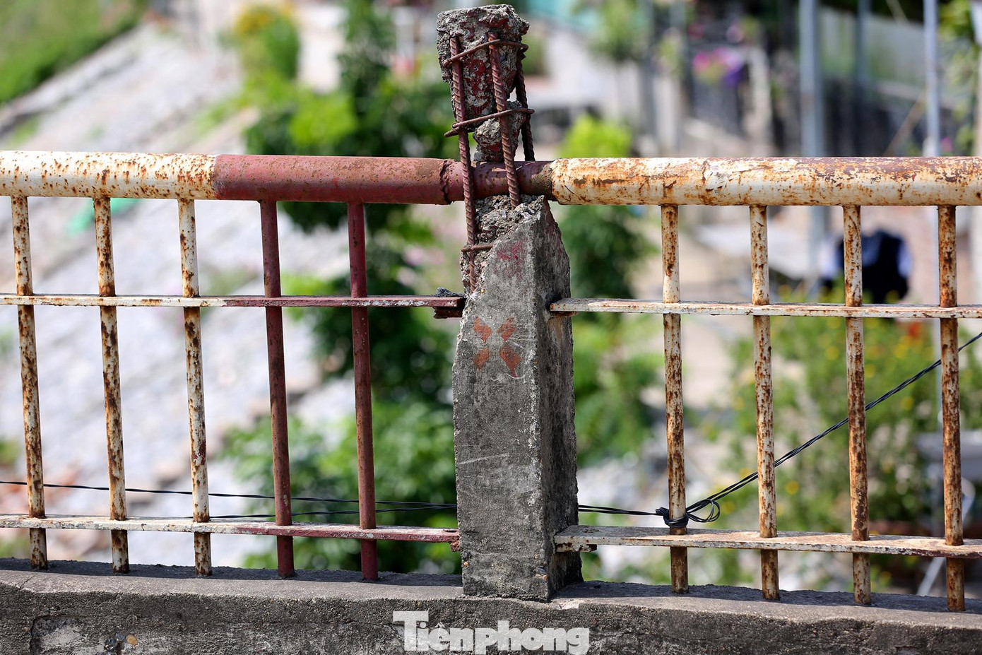 Thành cầu trơ trụi cọc sắt.