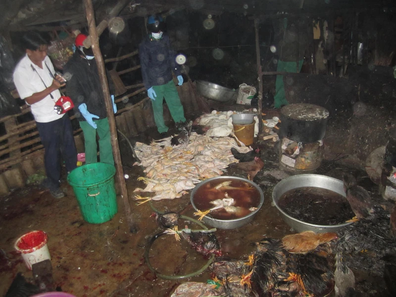 Điểm giết mổ gia cầm trái phép của chủ cơ sở Nguyễn Thị Thúy ở ấp 6 xã Vĩnh Lộc An, Bình Chánh bị phát hiện Ảnh: L.N