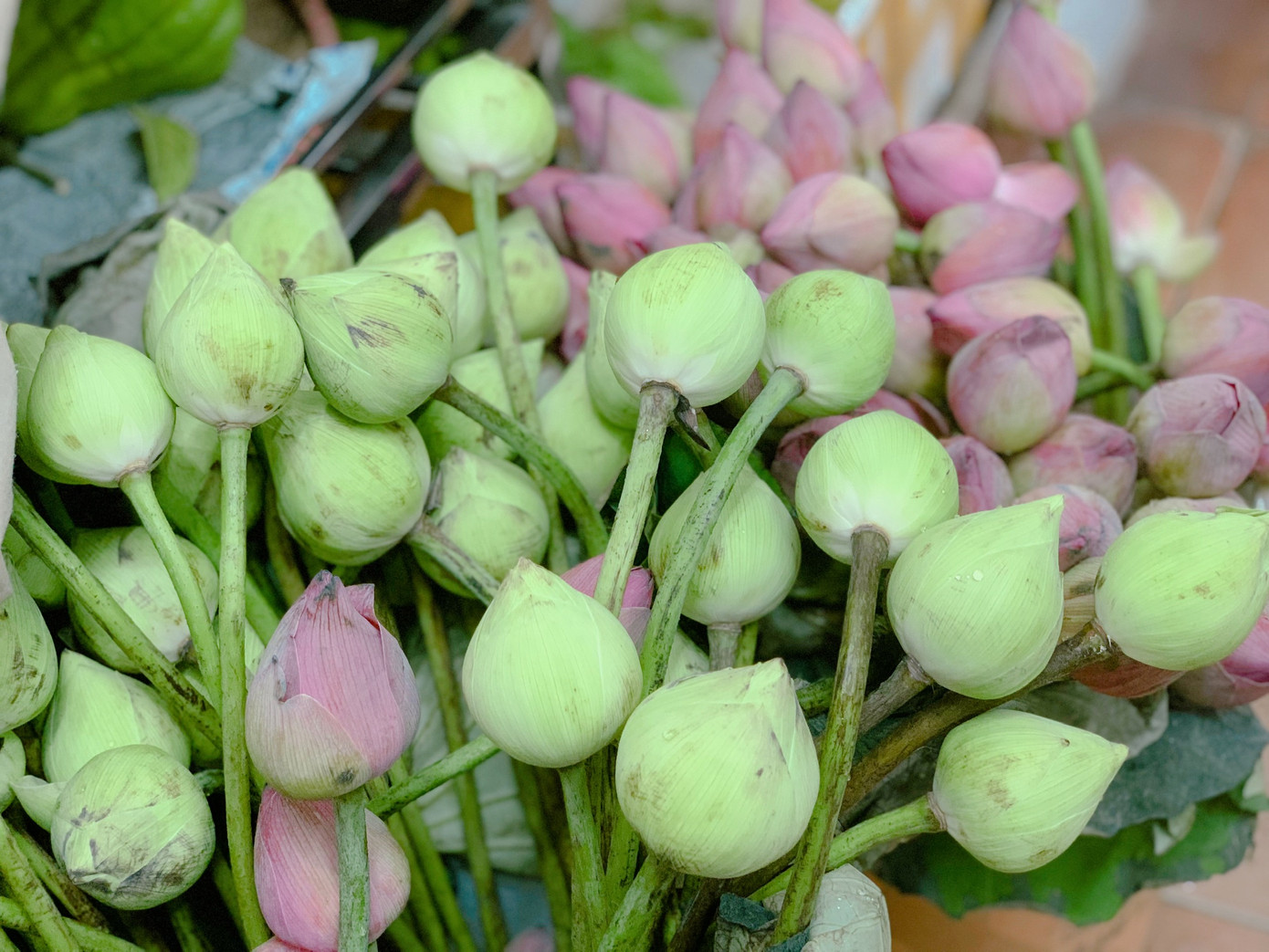 Mẹt hoa được trang trí chủ yếu bằng các loại hoa truyền thống như hoa bưởi, hoa cau, hoa sen... Mẹt hoa được trang trí chủ yếu bằng các loại hoa truyền thống như hoa bưởi, hoa cau, hoa sen...