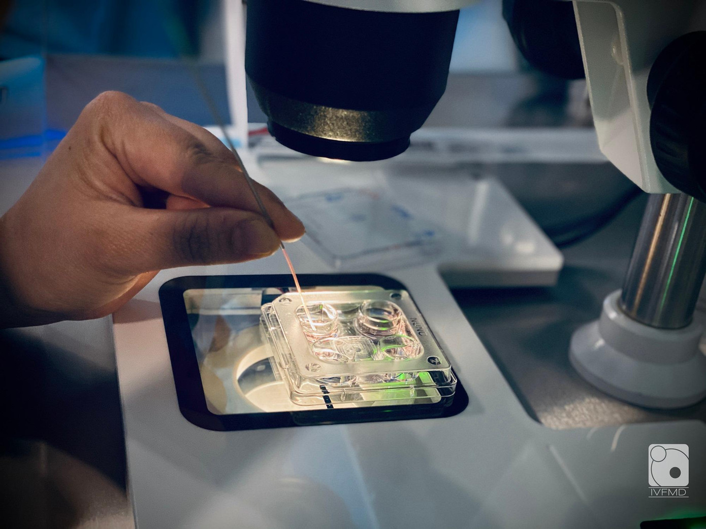 Nhân viên y tế đang thực hiện một bước của quy trình thụ tinh trong ống nghiệm