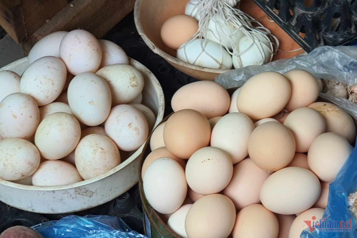 Một số loại gia cầm khi đẻ trứng tại các nơi điều kiện vệ sinh không bảo đảm, vi khuẩn Salmonella có thể có ở vỏ trứng.