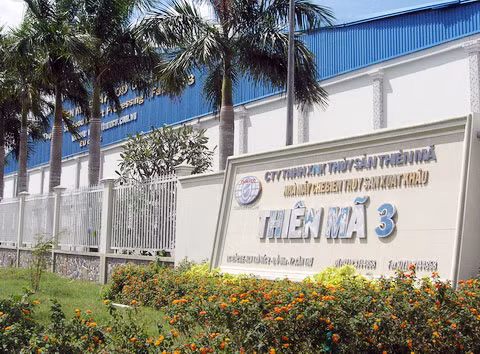 Giám đốc Công ty Thiên Mả cho biết cuối tháng này sẽ đóng cửa nhà máy Thiên Mã 3 vì không còn tiền trả lương 700 công nhân. Ảnh: Duy Khang