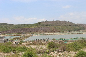 Ngăn 'sốt' đất đặc khu kinh tế Vân Phong ảnh 1