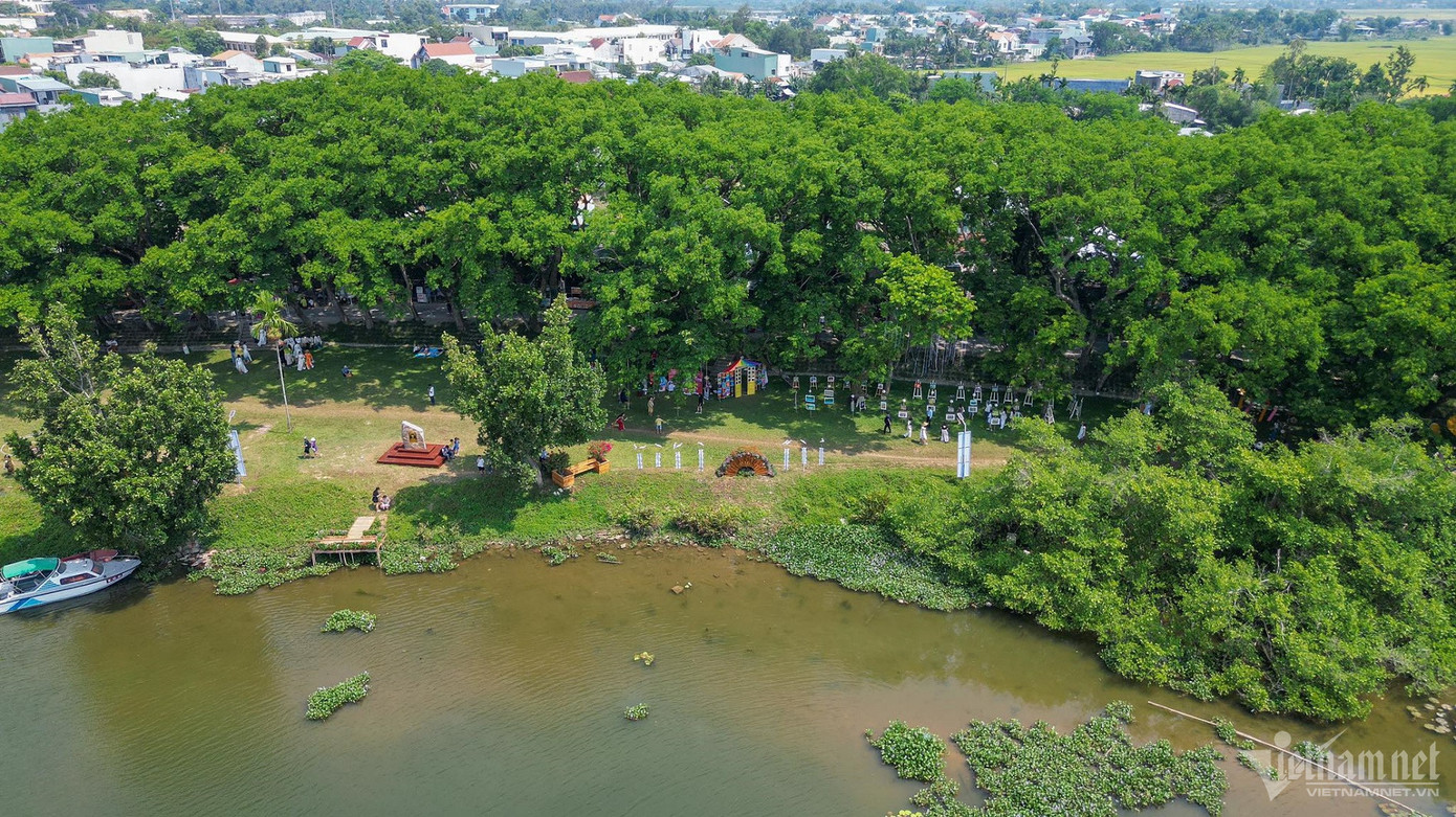 Làng Hương Trà thuộc phường Hòa Hương, thành phố Tam Kỳ, Quảng Nam. Tại ngôi làng này tồn tại quần thể cây giáng hương ấn (cây sưa) có tuổi đời trung bình hơn 100 năm, trong đó có 12 cây cổ thụ với độ tuổi trên 200 năm.