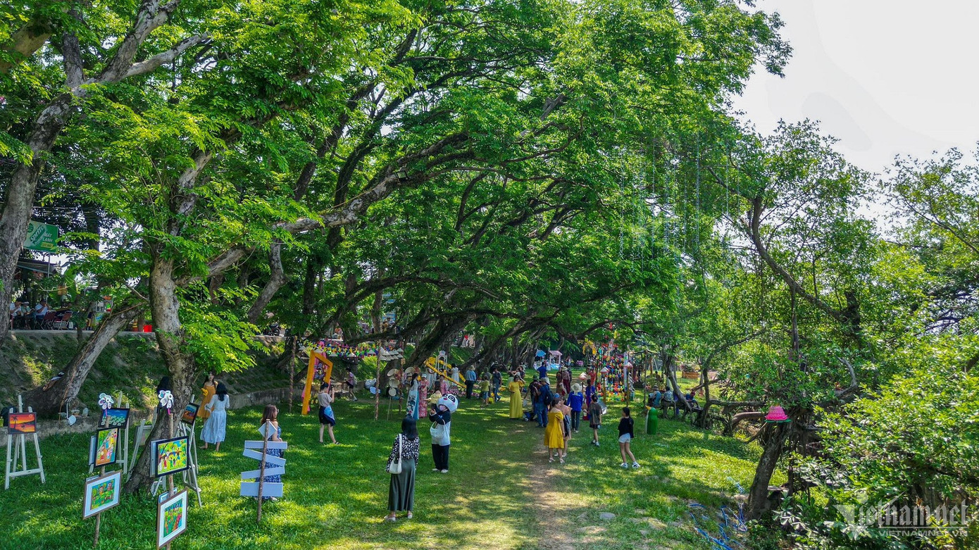 Ông Nguyễn Minh Nam - Phó Chủ tịch UBND thành phố Tam Kỳ cho hay, việc công nhận quần thể sưa làng Hương Trà là cây Di sản Việt Nam là dấu mốc quan trọng đối với việc bảo tồn, giữ gìn, phát triển giá trị của quần thể cây sưa cổ thụ. Đồng thời, tạo thêm điểm đến cho chiến lược phát triển du lịch sinh thái tại địa phương.
