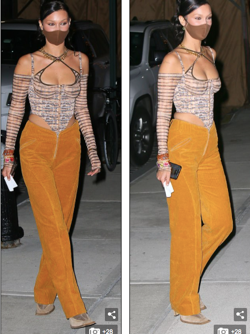 Cả Bella và Gigi đều là những chân dài thành công nhất nhì làng thời trang thế giới hiện nay. Cả hai chị em gái siêu mẫu liên tục xuất hiện trên các sàn diễn ở các kinh đô thời trang quốc tế.