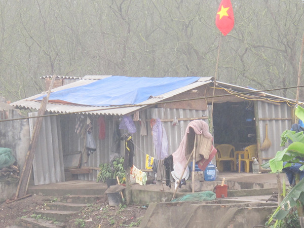 Nhà vợ con ông Vươn dựng tạm để ở Ảnh: Phạm Duẩn