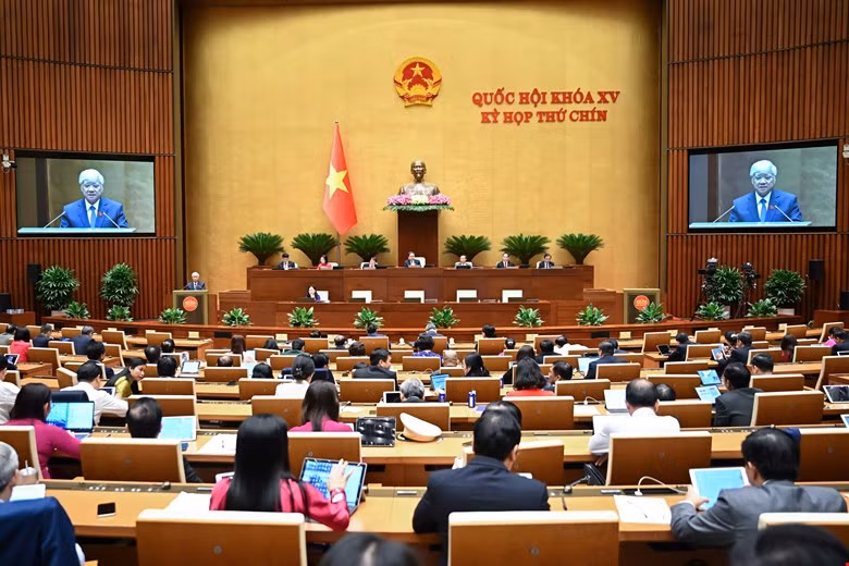 Ảnh: QH Ảnh: QH