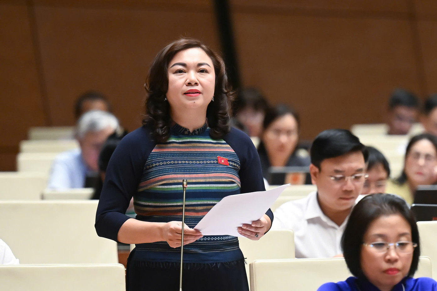 Đại biểu Đặng Bích Ngọc. Ảnh: Như Ý Đại biểu Đặng Bích Ngọc. Ảnh: Như Ý