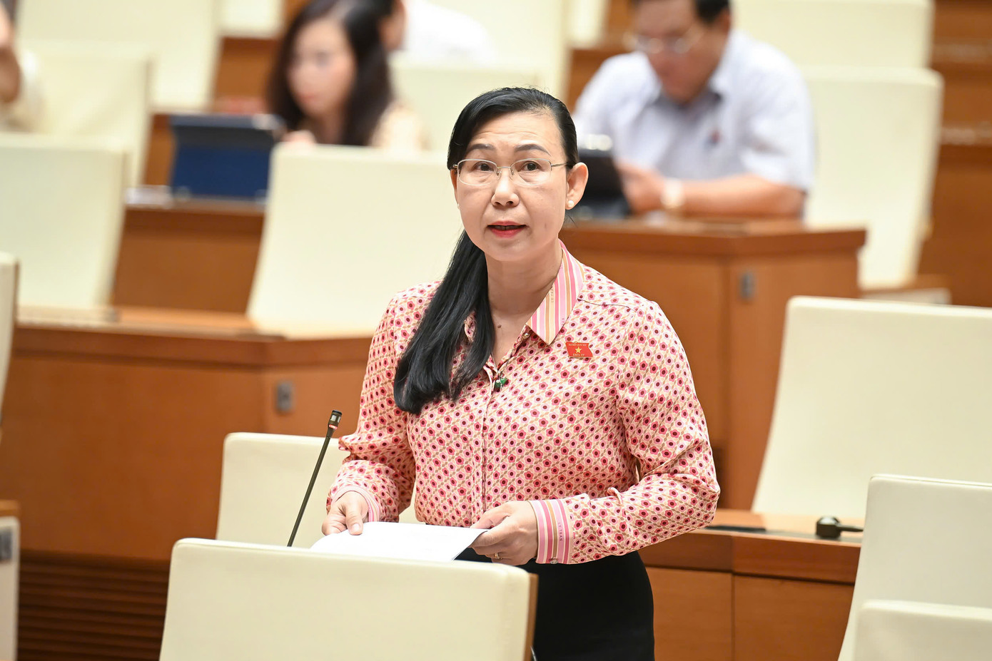 Đại biểu Phan Thị Mỹ Dung. Ảnh: QH Đại biểu Phan Thị Mỹ Dung. Ảnh: QH