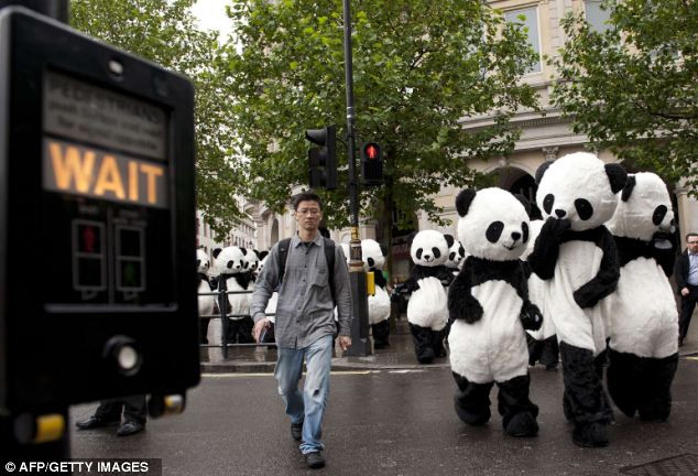 Hành trình của các chú gấu đi qua các khu vui chơi giải trí trong thành phố