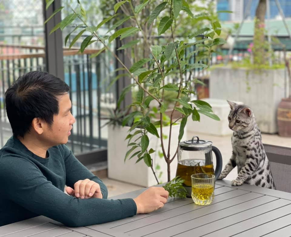 Chú "báo con" hiền lành đã được thuần dưỡng. Chú "báo con" hiền lành đã được thuần dưỡng.