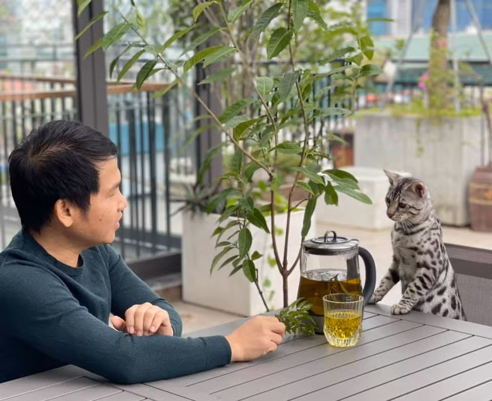 Chú "báo con" hiền lành đã được thuần dưỡng.