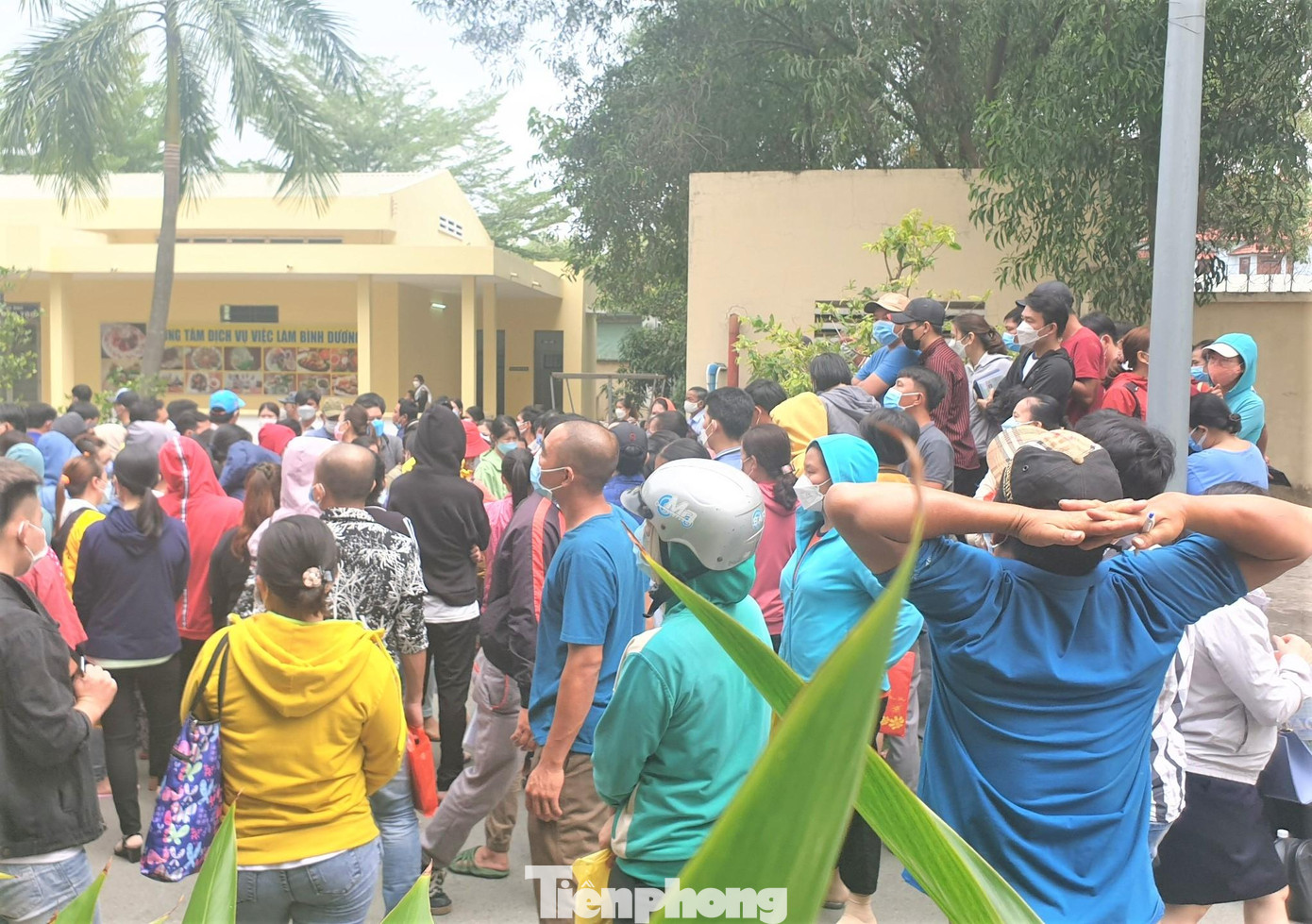 Nhiều doanh nghiệp ở Bình Dương nợ bảo hiểm xã hội Nhiều doanh nghiệp ở Bình Dương nợ bảo hiểm xã hội