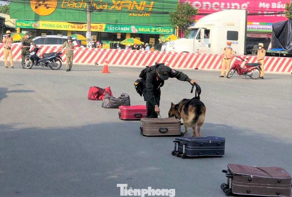 Chó nghiệp vụ kiểm tra chất ma túy trong vali Chó nghiệp vụ kiểm tra chất ma túy trong vali