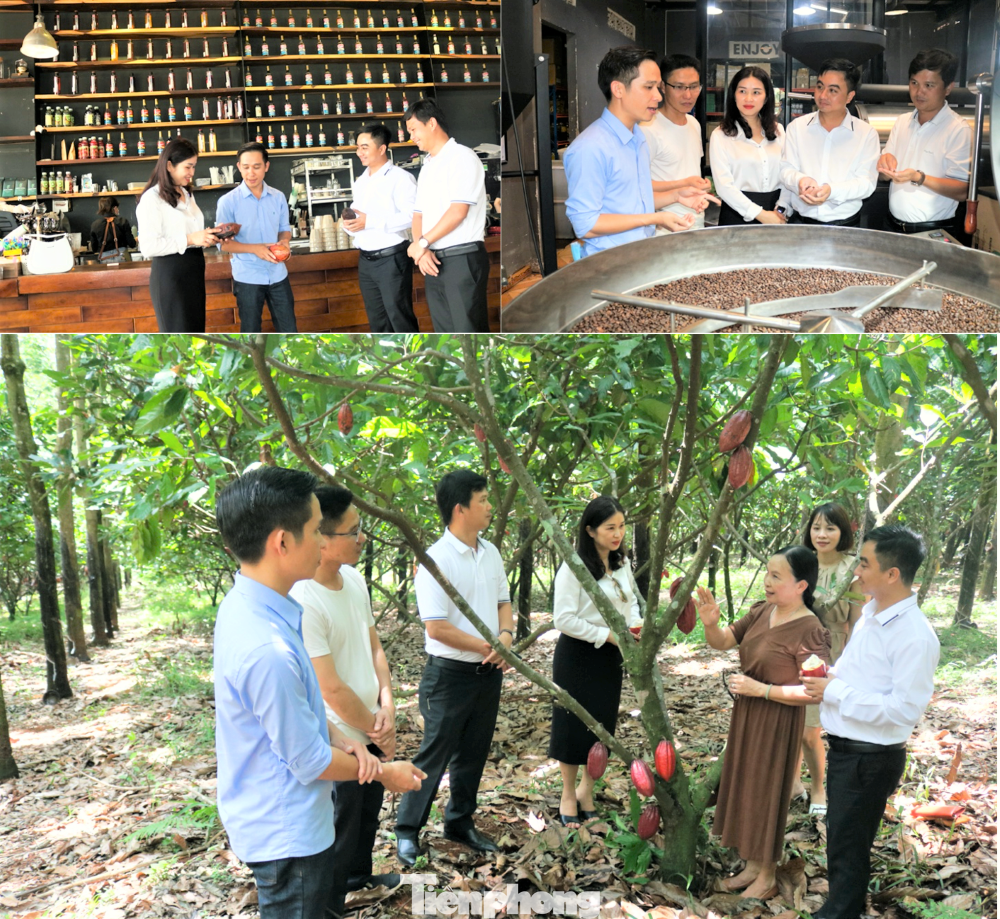 Thăm mô hình tiêu biểu tại tỉnh Đắk Nông