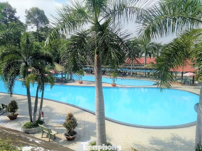 Hồ bơi trong công viên Hồ bơi trong công viên