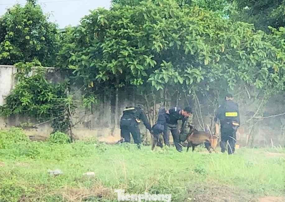 Chó nghiệp vụ khống chế tội phạm Chó nghiệp vụ khống chế tội phạm