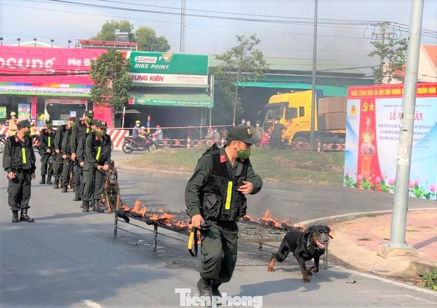 Chó nghiệp vụ vượt rào cản trấn áp tội phạm Chó nghiệp vụ vượt rào cản trấn áp tội phạm