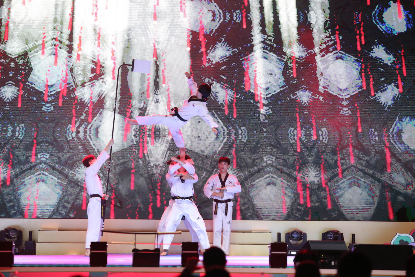 Tiết mục võ taekwondo đẹp mắt do nhiều bạn sinh viên Hàn Quốc trình diễn.