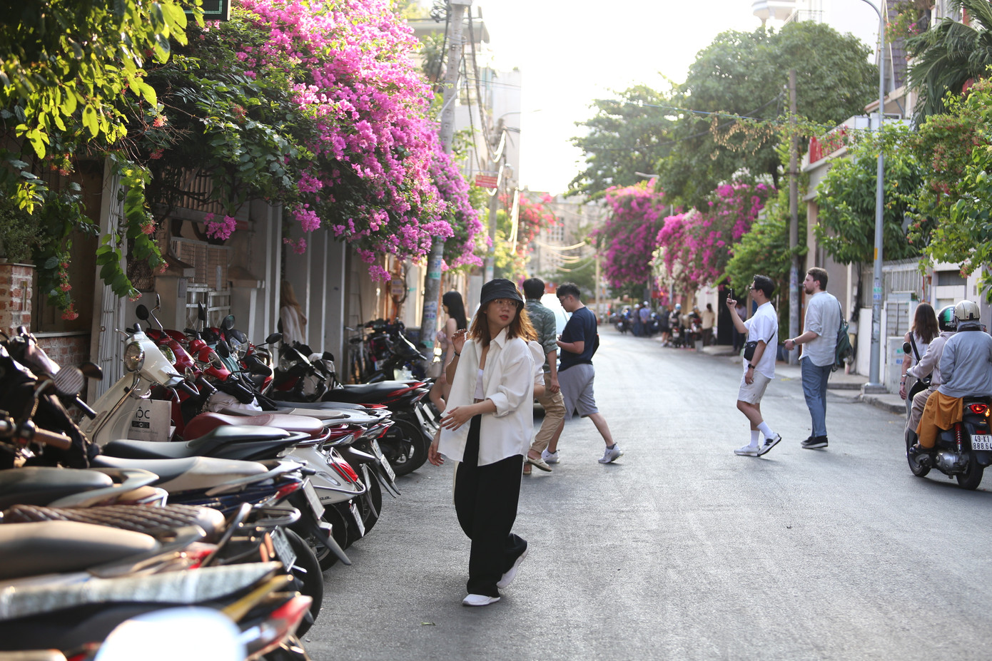 Các tràng hoa giấy trải dài khắp con đường nhỏ giữa lòng TPHCM. Các tràng hoa giấy trải dài khắp con đường nhỏ giữa lòng TPHCM.